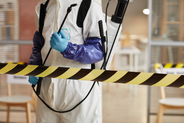 Professional Sewage Cleanup technician working in Pinecrest, FL