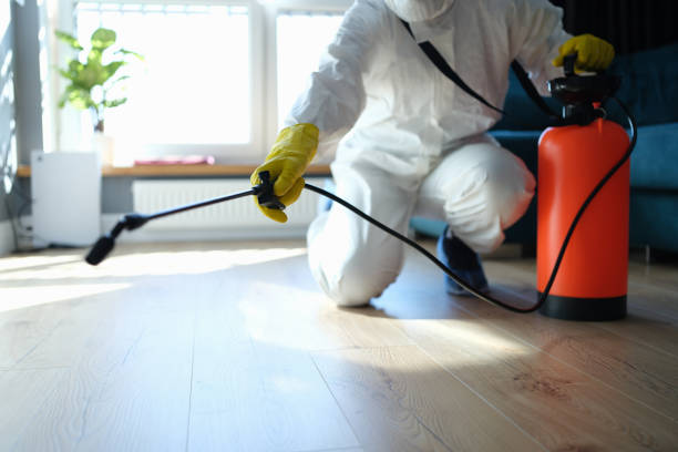 Trusted Sewage Cleanup service in Pinecrest, FL - Four Month Blood Cleanse